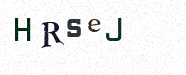 Visual Confirmation Security Code