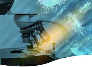 Antimicrobial Peptide Development to Drive Forward Drug Development Against Superbugs